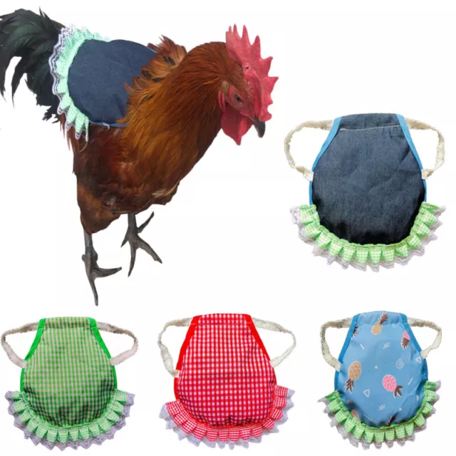 Paquet De 5/3 Selles De Poulet Avec Sangles Élastiques Protection Du Tablier R