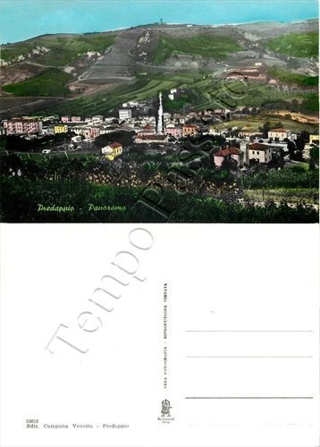 Cartolina di Predappio, panorama - Forlì Cesena