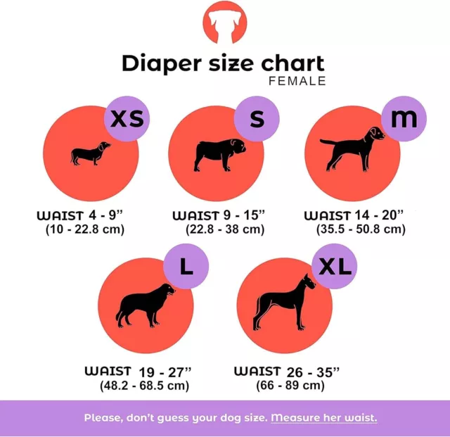 Dog Diapers Washable & Reusable Female Dog Diapers Materials Durable Machine 2