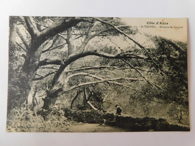 83 VAR CARTE POSTALE CPA SAINT-TROPEZ N°201 batterie de Cappon
