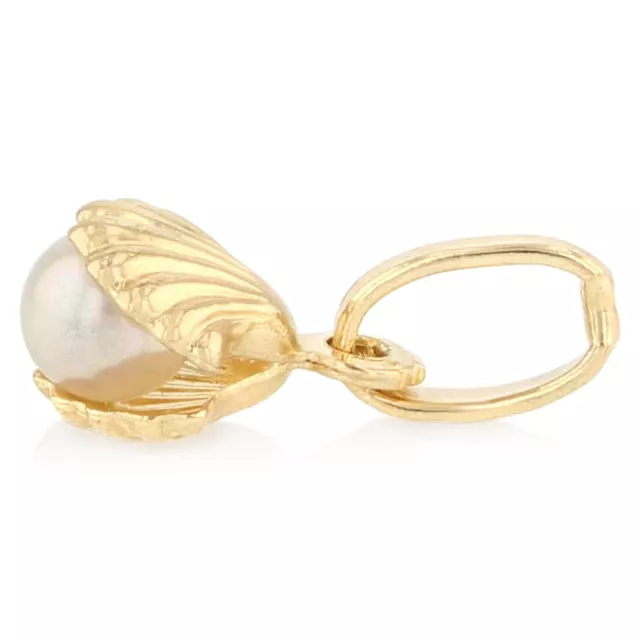 14K Yellow Gold Clam Shell Pearl Charm Pendant & 1.6mm Figaro 3+1 Chain Necklace 2