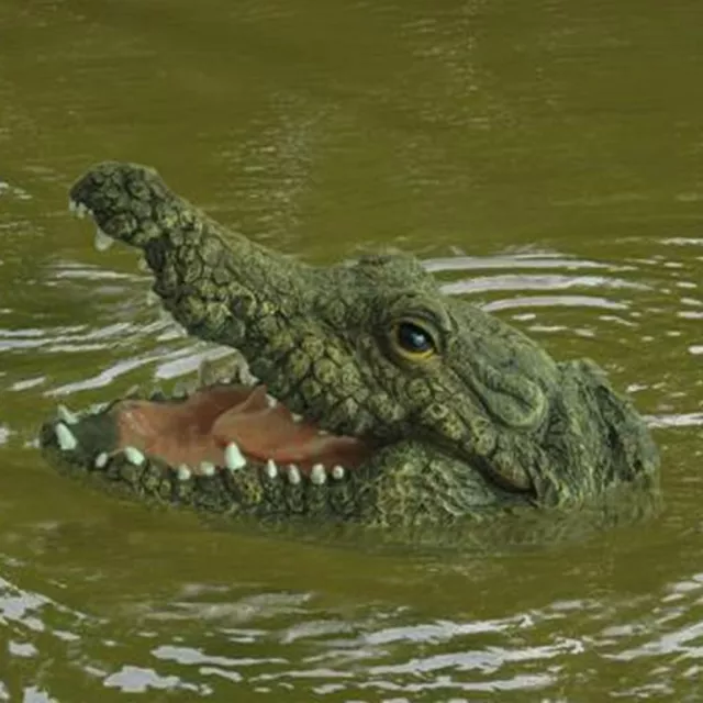 Floating Crocodile Garden Pond Feature Reptile Alligator Animal head Ornament UK