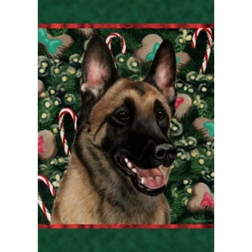 Christmas Holiday Garden Flag - Belgian Malinois 142511