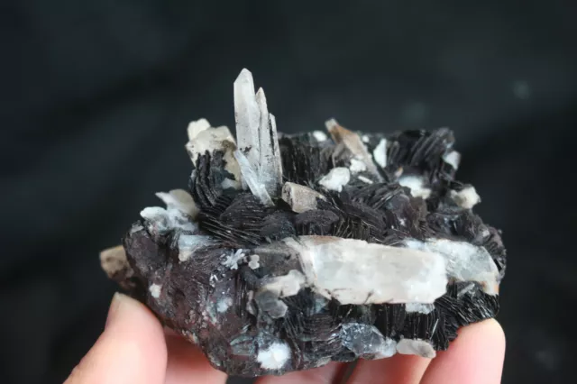 432g Natural Clear Quartz Crystal&Specularite Cluster Symbiosis Specimen Healing