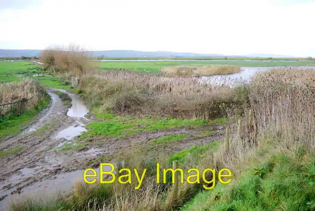 Photo 6x4 Open Wetlands at Slimbridge In the distance is the River Severn c2015