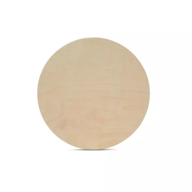 Wood Circles 8 inch 1/2 inch Thick, Unfinished Birch Craft Rounds | Woodpeckers