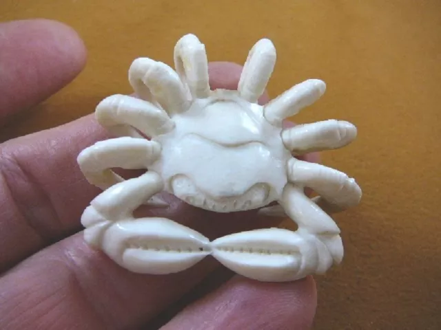 (crab-5) rock shore Crab of shed ANTLER figurine Bali detailed carving crabs