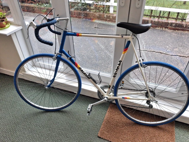 RALEIGH TEAM CADET 12 Speed Vintage Racer 501 tubes Panasonic Colours £ ...