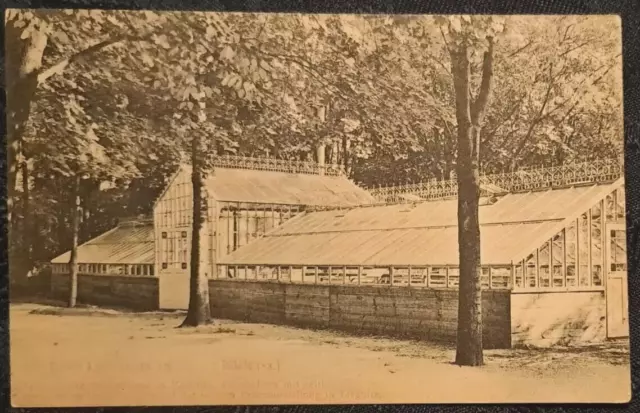 L16 Liegnitz/Legnica 1910:Palmenhaus/palmiarnia: Werbung des Herstellers/Reklama