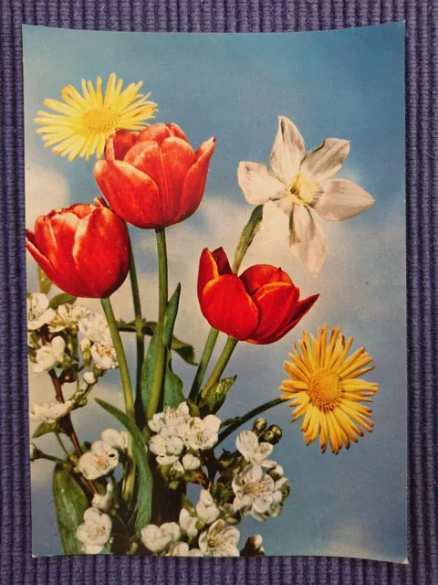 alte Ansichtskarte Postkarte AK Tulpen Blütenzweig Emmerich Kunstkarte Leipzig