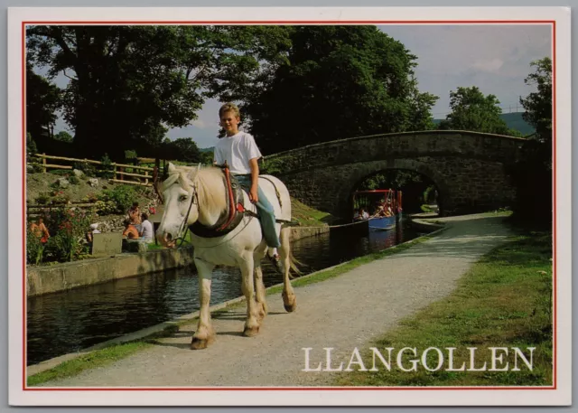 Horse-drawn canal trips Llangollen Clwyd Wales Postcard