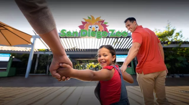 San Diego Zoo Tickets(Can specify the date to visit)