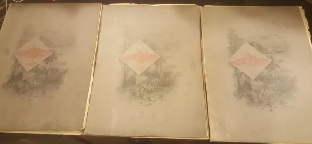 Set of 3 Antique Book Picturesque California 1888 Etchings & Photo-gravure VHTF