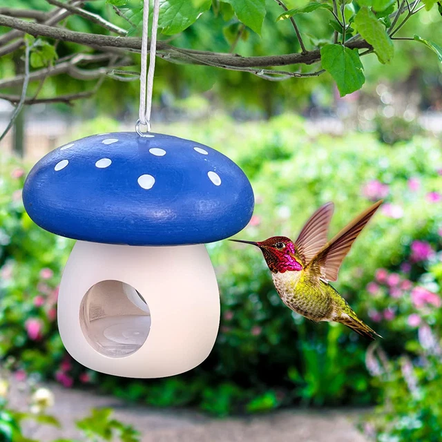 Bird Houses for outside - Mushroom Shape Wooden Painted Bird Houses, Handmade Na