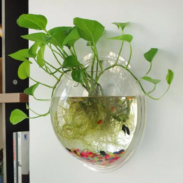 Mount Fish Tank Wall Hanging Bowl Planter Decoration Acrylic Aquarium Supplies