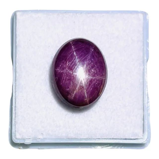 13.45 Cts Unheated Natural Star Ruby 14x10.5mm Cabochon Ring Size Loose Gemstone