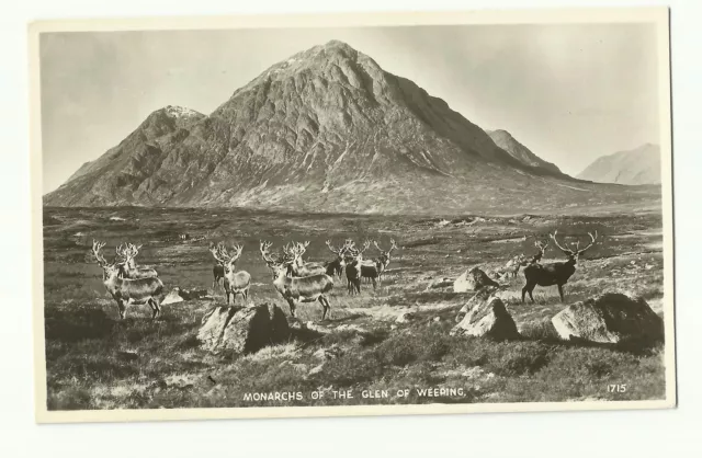 Monarchs of the Glen of Weeping real photo postcard