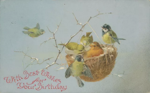 birthday birds in nest Wildt and kray
