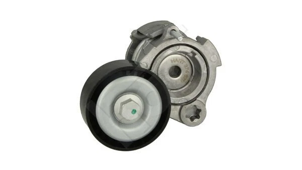 Cinghia Rigida In Nylon 5m X 2,5cm - Con Fibbie, Per Fissaggio E Organizzazione