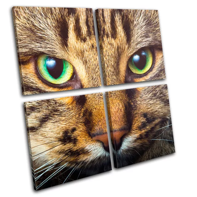 Cat Face Animals MULTI TOILE murale ART Photo Print