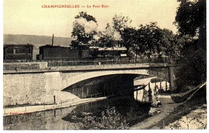 (S-92640) France - 54 - Cpa Mushrooms