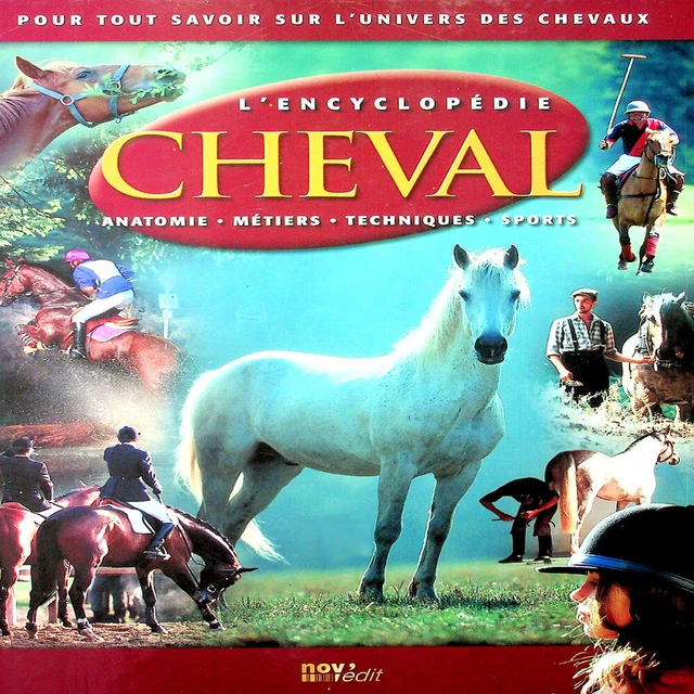 Boîte Vide Seulement Pour 'L'Encyclopédie Du Cheval Et Du Poney' (jeu PC) - Bon état, Origine France