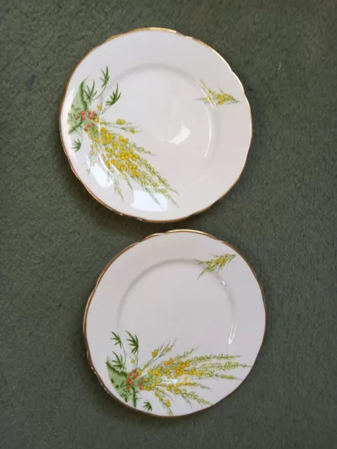 Royal Stafford Broom Side Plates x 2  16.5cm diameter