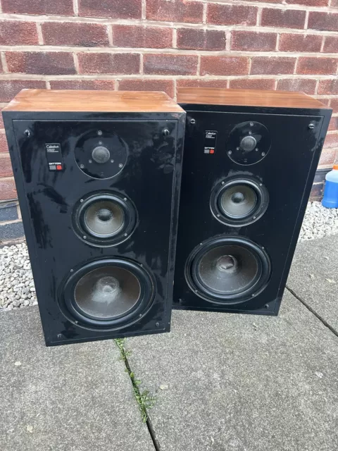 Celestion ditton best sale 300