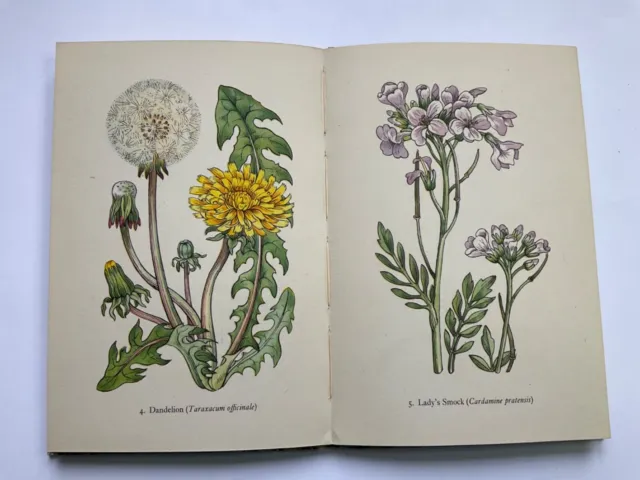 Flowers of Meadow 1950, King Penguin book, G. Grigson, 24 plates by Robin Tanner