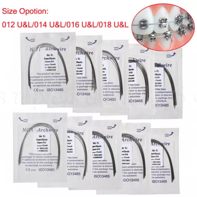 100 Alambre de Arco Niti de Ortodoncia Dental Super Elástico Arco Forma Ovoide Arco ns