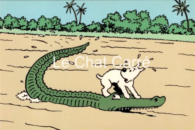 Carte Postale BD - Tintin au Congo - Hergé - Eds. Casterman - 1993 - HC
