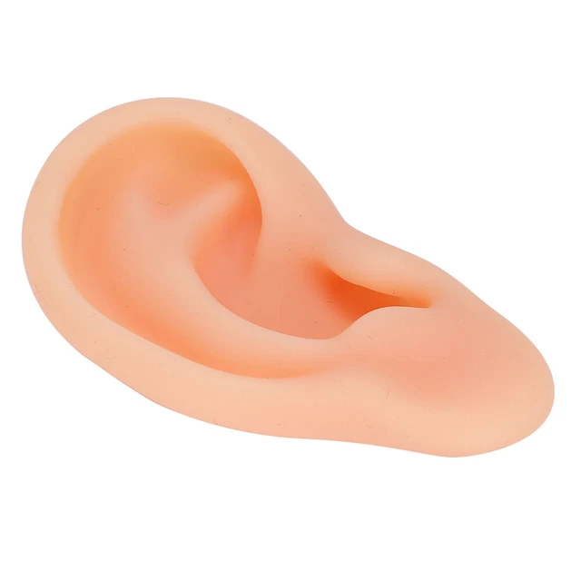 Simulated Ear Model Acupuncture Practice Massage Teaching Tool(Right ) FS1