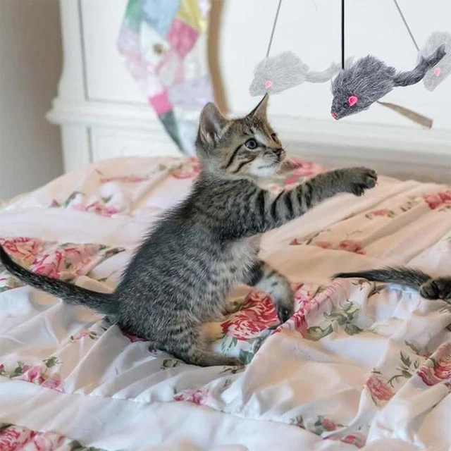 Pet Cat Toys Mouses Hanging Automatic Funny Cat Teaser For Cats p Indoor A1L8