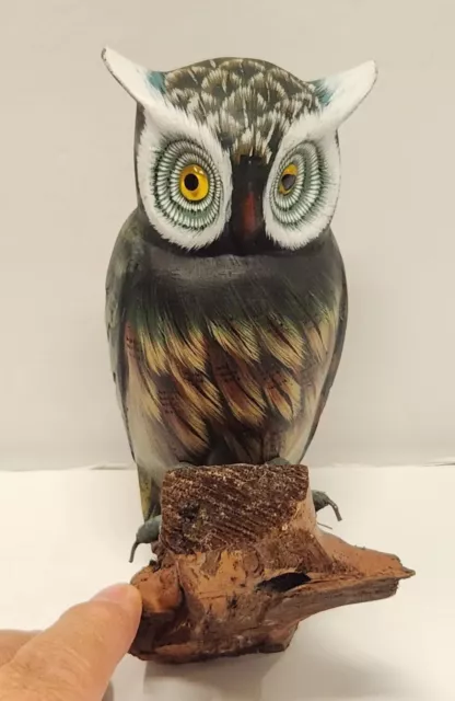 Wooden Owl Hand Carved on Driftwood Figurine Hand Painted Sculpture
