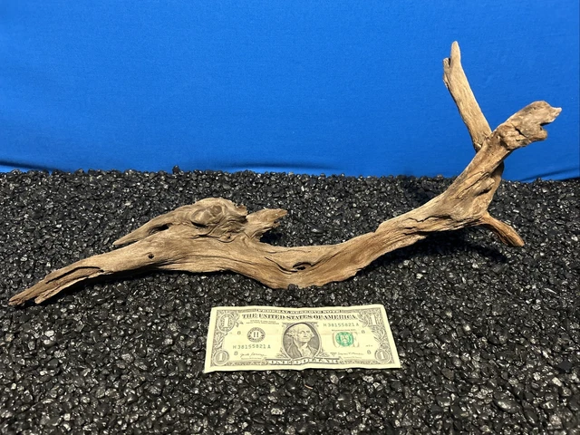 Quzente Driftwood Decor For Aquariums – Sinking Driftwood, Natural Wood Roots, Fish Tank Ornament, Provides Shelter & Lowers PH