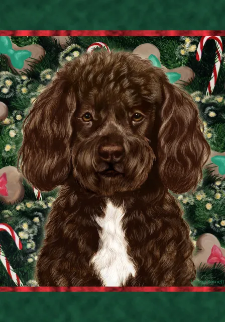 Christmas Holiday Garden Flag - Bearded Brown White Portuguese Water Dog 149131