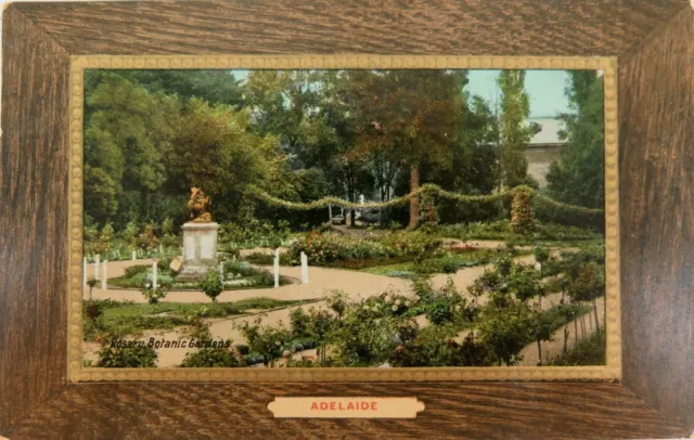 .Adelaide , Rosary Botanical Gardens South Australia 1909 Postcard