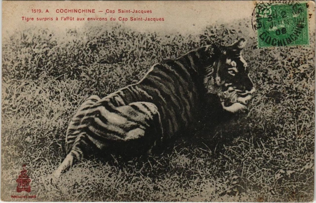 CPA AK VIETNAM COCHINCHINE Cap St-Jacques - Tigre surpris (62780)
