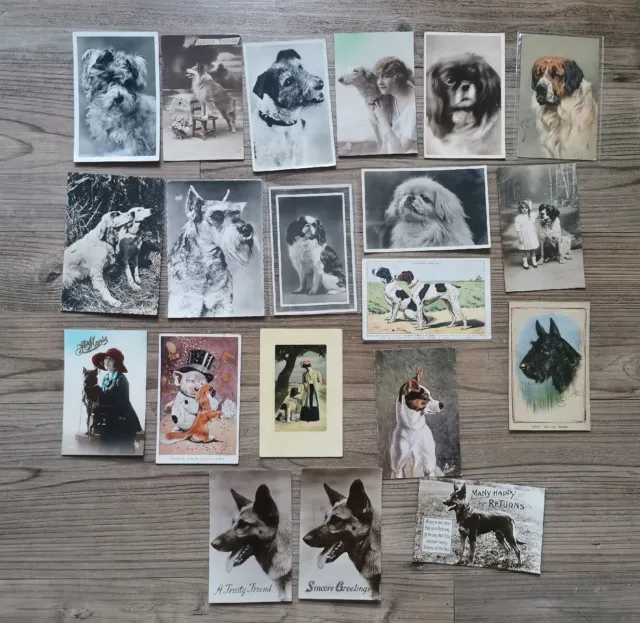 20x Vintage Dog Postcards Written On Stamped Postmarked Photos Antique Pictures