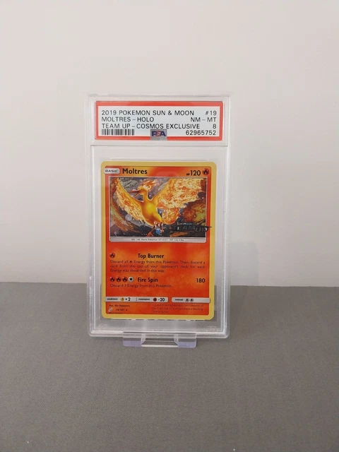 2019 Team Up Moltres Prerelease Promo 19/181 - PSA 8 - Holo Rare Pokemon Card