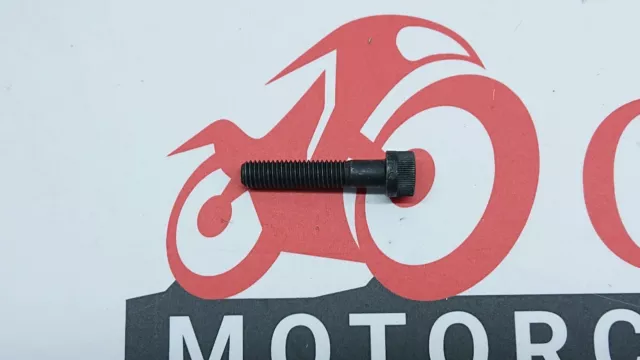 TRIUMPH ADVENTURER, THUNDERBIRD Caliper Bolt (M8x40) T3050100