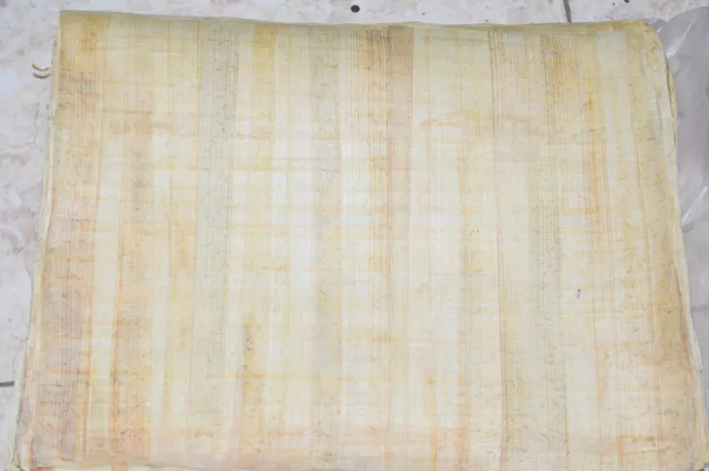 Lot 10 Egypt Papyrus HandMade Plain Legal size , 20x30cm. (12"x8") 2