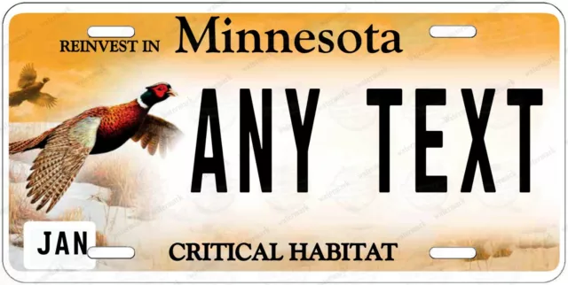 Minnesota State Personalized Custom License Plate Tag for Auto Car ATV Bike