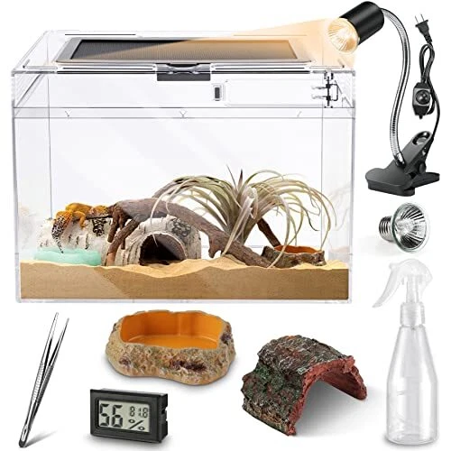 Reptile PC Glass Terrarium, Anti Breakage 15x8x9.7 inch Amphibians Tank