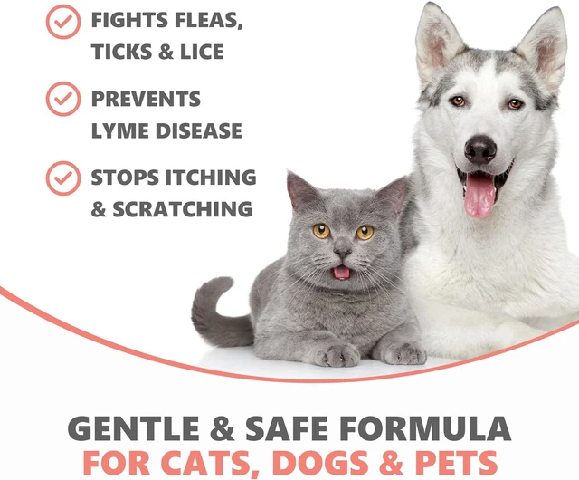 FLEA TREATMENT FOR Dogs Cats & Pet All Natural Mite Lice & Tick Remover ... - Natural Mite Treatment For Cats