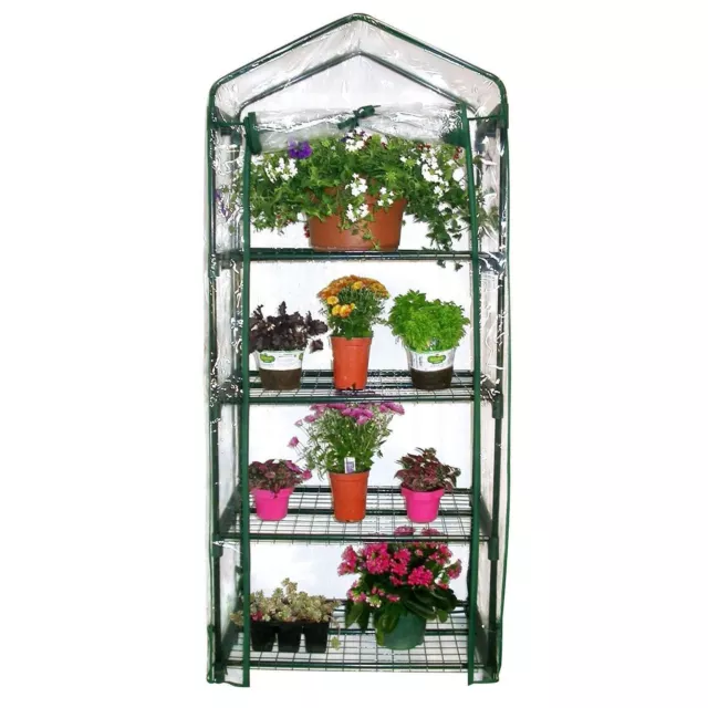 Garden Compact Walk In Greenhouse Frame Shelves Reinforced Cover Cold Frame New