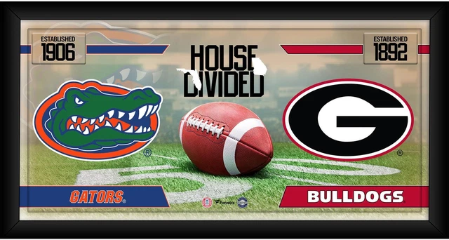 Florida Gators vs Georgia Bulldogs Frmd 10" x 20" House Divided Football Collage