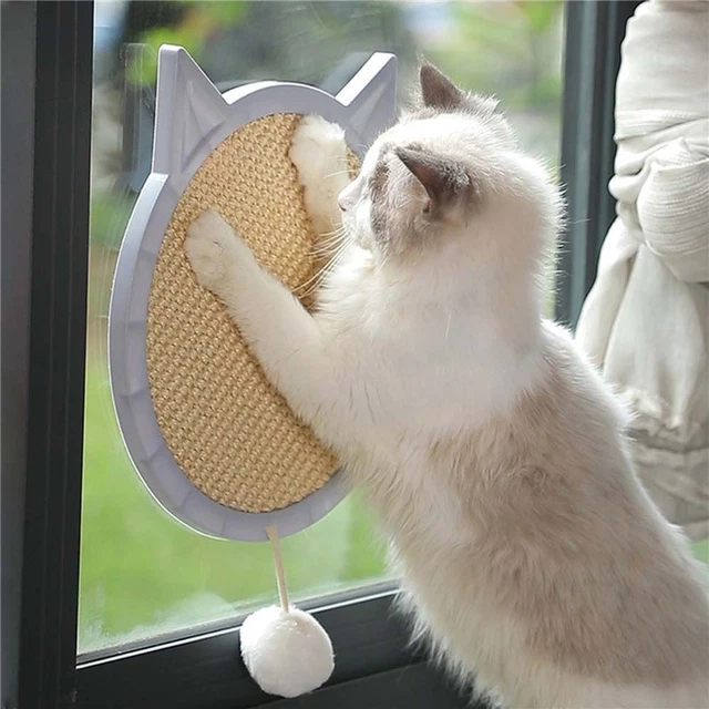 Exercising Cat Scratcher Toy Pet Supplies Cat Scratching Board Cat Toys Ball