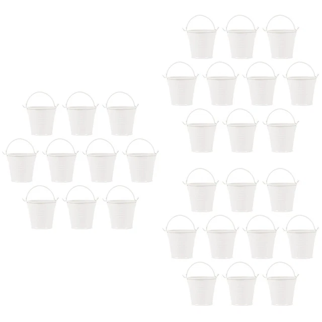 30 PCS Farmhouse Jug Vase Mini Bucket French Fries