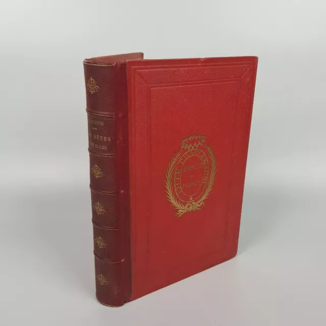 LIBRO BOOK ANTICO Henri Coupin LES BETERS CHEZ ELLES ET DANS LE MONDE 1906  RARO